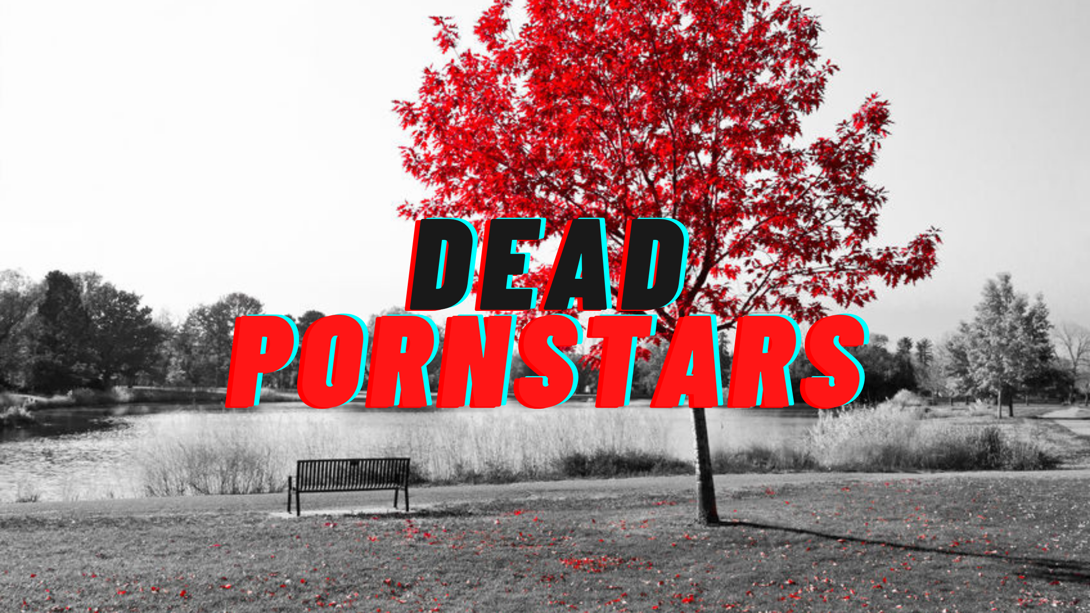 Dead Black Porn Stars
